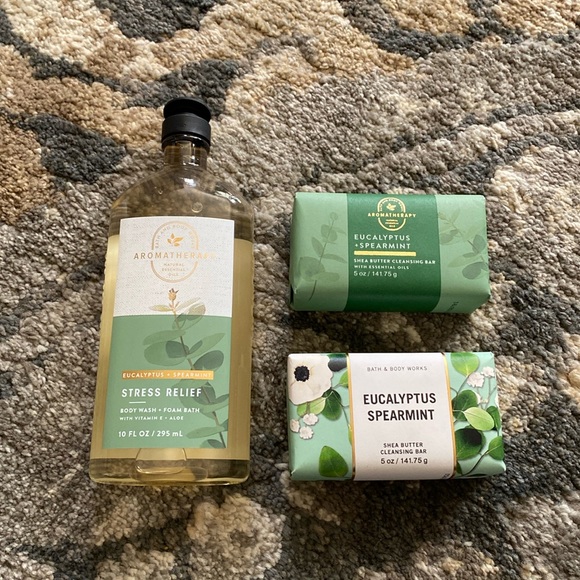 Eucalyptus & Spearmint Bath & Body Works Bundle - Picture 1 of 1